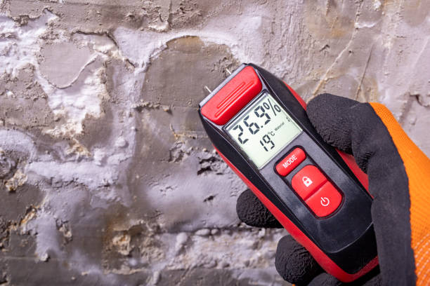 Best Mold Removal Company Near Me  in Parkville, MO