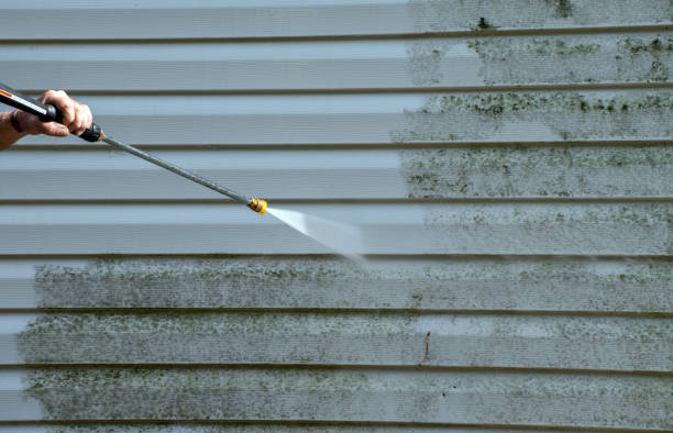 Best Mold Damage Repair  in Parkville, MO