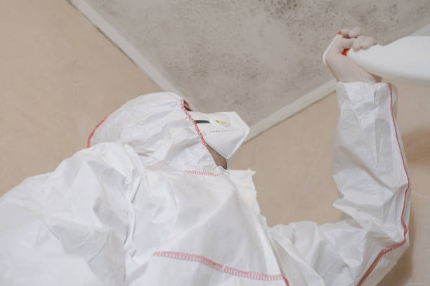 Best Office Mold Removal Services  in Parkville, MO