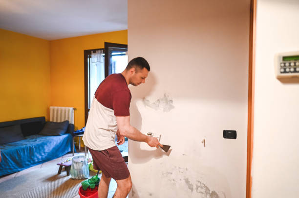 Best Black Mold Removal  in Parkville, MO