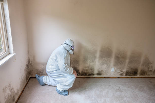 Best Professional Mold Removal  in Parkville, MO